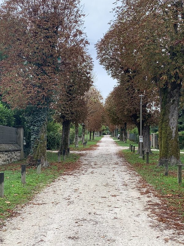 Allée Lucien Clanet et Marie Peignat 2