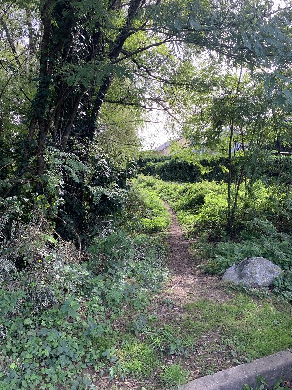 Boucle du marais des Chassettes 3 Retour via l'allée des chassettes