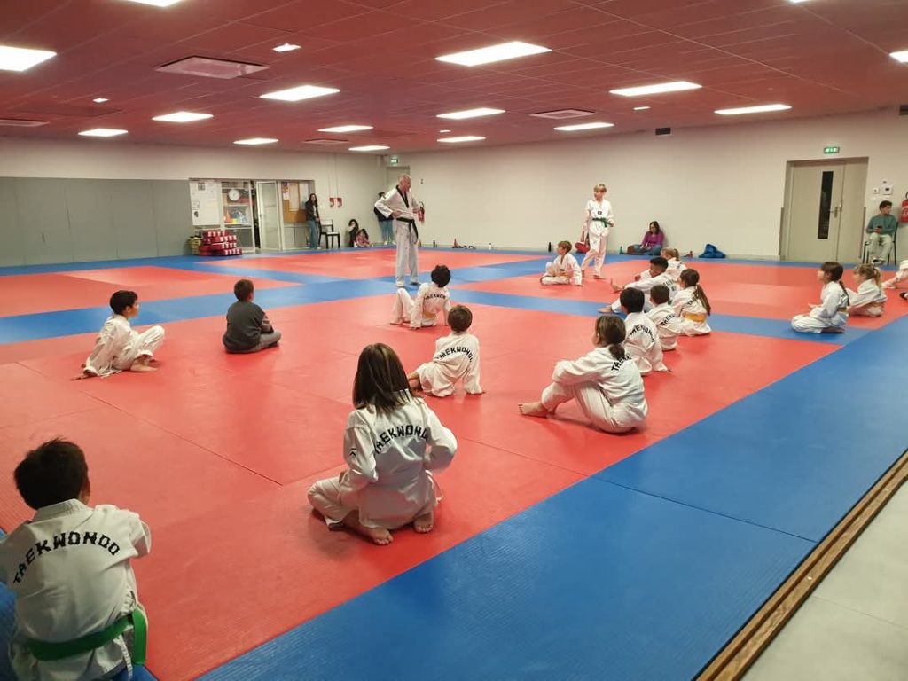 Challes Arts Martiaux : Découvrez le Taekwondo et la Self-Défense à Challes-les-Eaux 2 Challes Arts Martiaux